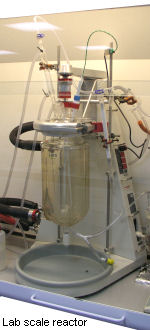 Lab scale reactor